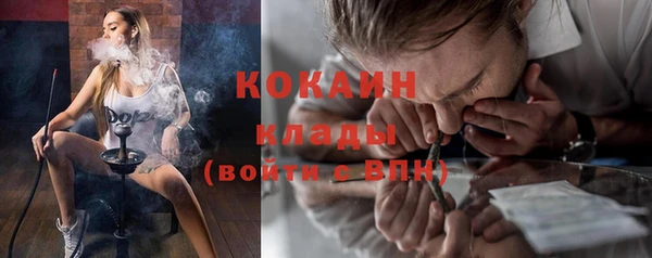 индика Балабаново