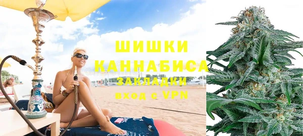 индика Балабаново