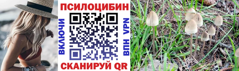 Галлюциногенные грибы Psilocybine cubensis  наркотики  Пласт 